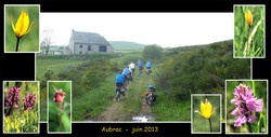 Randonneurs sur l'Aubrac